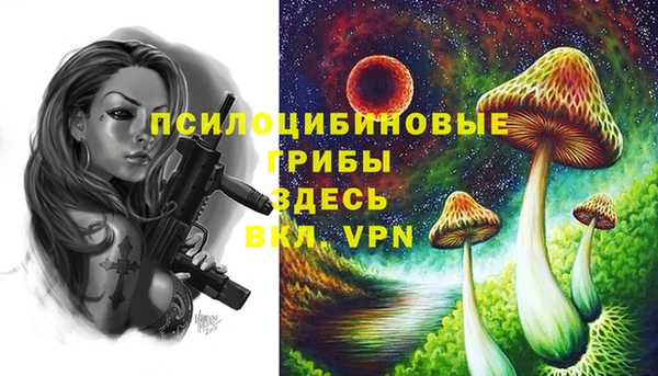 а пвп мука Алексеевка